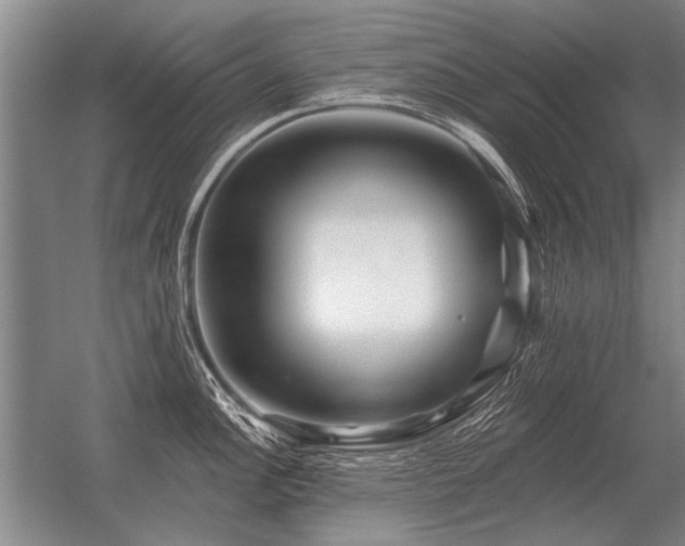 X0000056371148200509021807