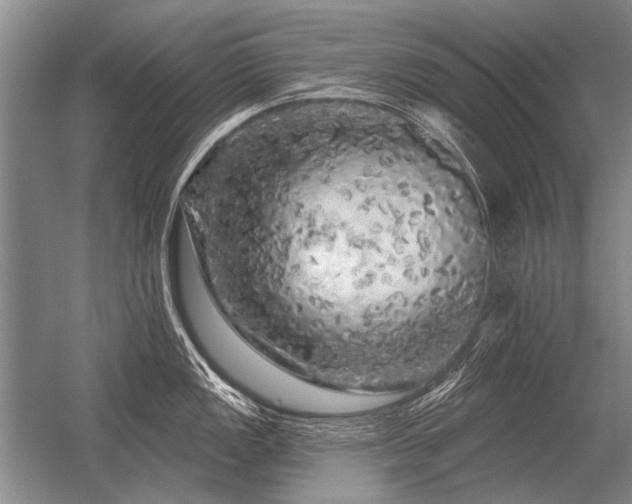 X0000056371149200509021807