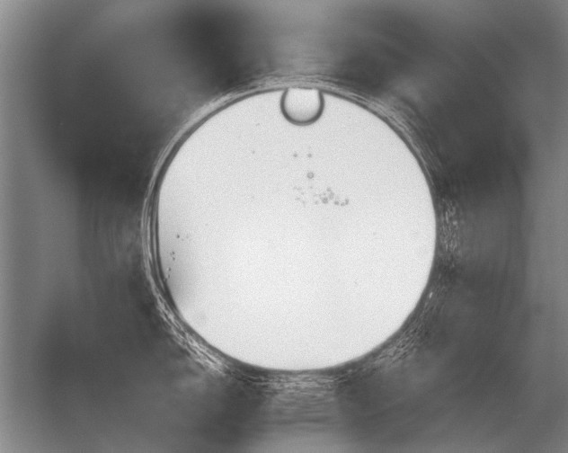 X0000056371150200509021807