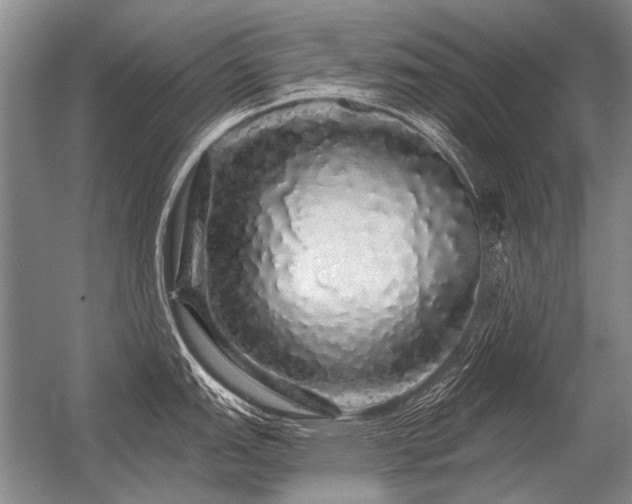 X0000056371151200509021807