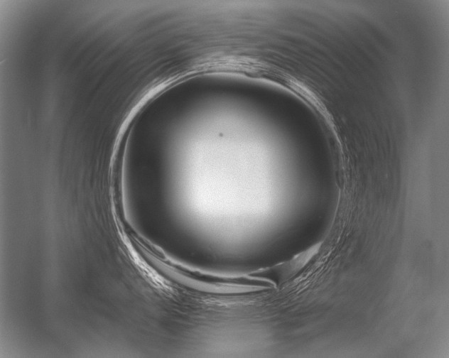 X0000056371152200509021807