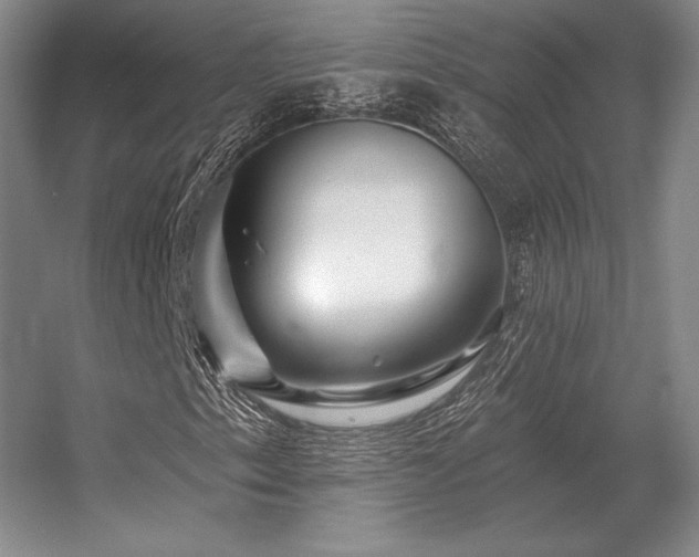 X0000056371153200509021807