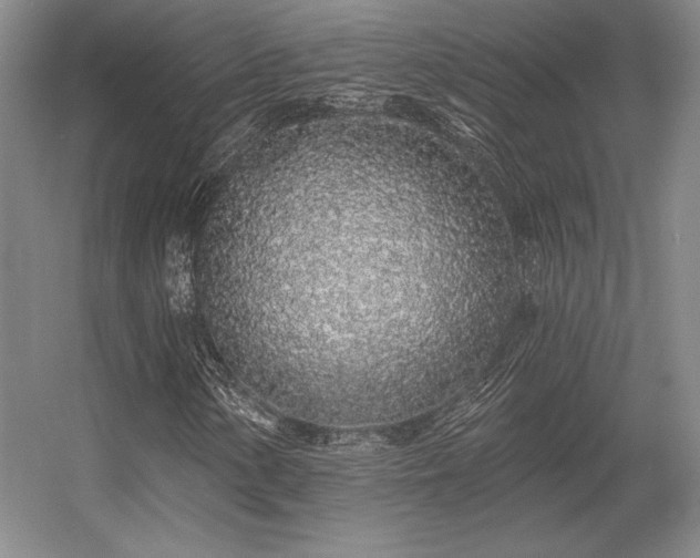 X0000056371154200509021807