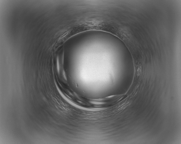 X0000056371156200509021807