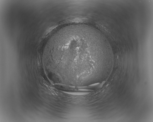 X0000056371158200509021807