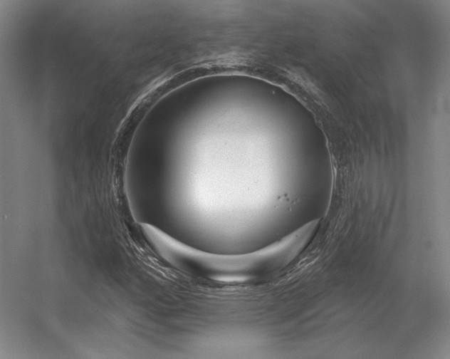 X0000056371160200509021807