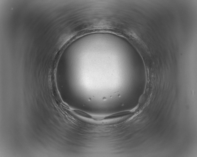 X0000056371162200509021806