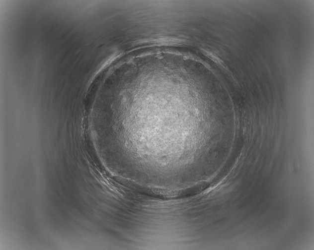 X0000056371163200509021806