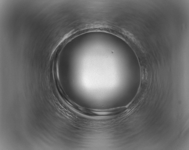 X0000056371165200509021806