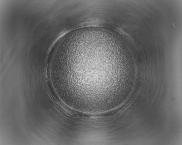 X0000056371166200509021806