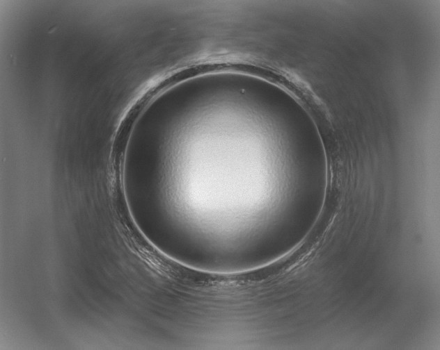 X0000056371167200509021806