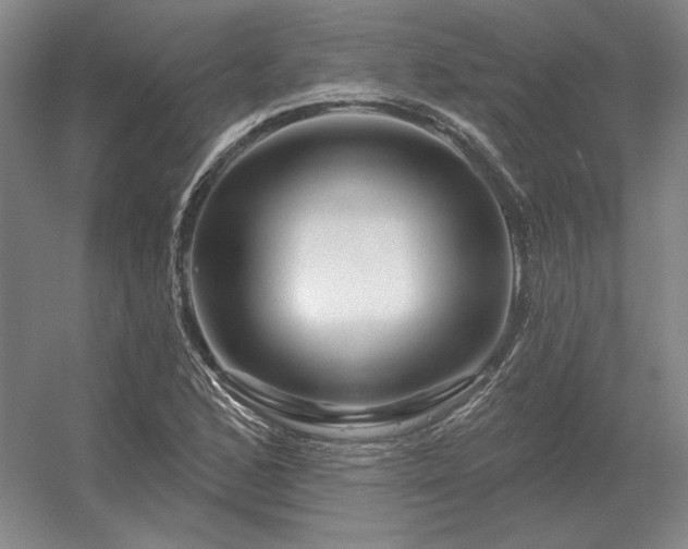 X0000056371168200509021806