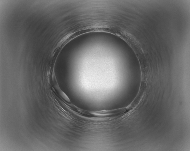 X0000056371169200509021806