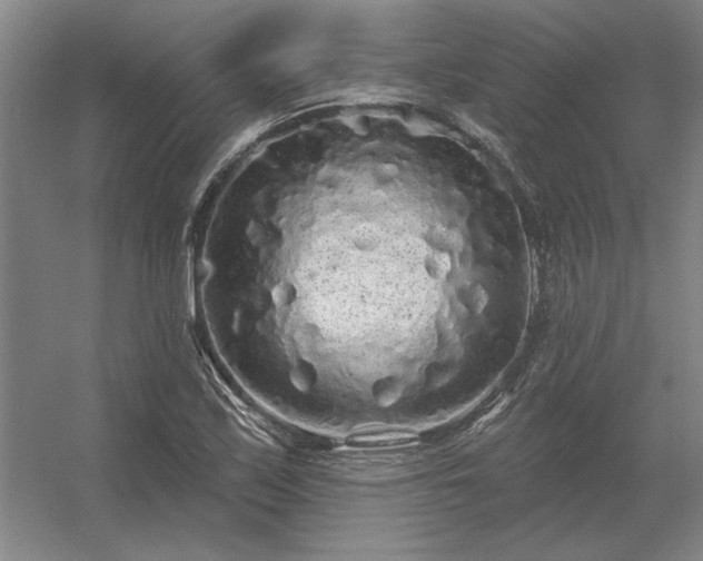 X0000056371171200509021806