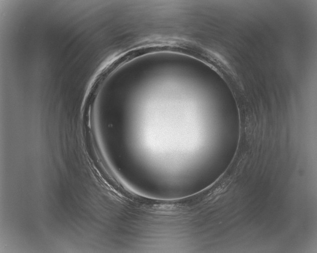 X0000056371172200509021806