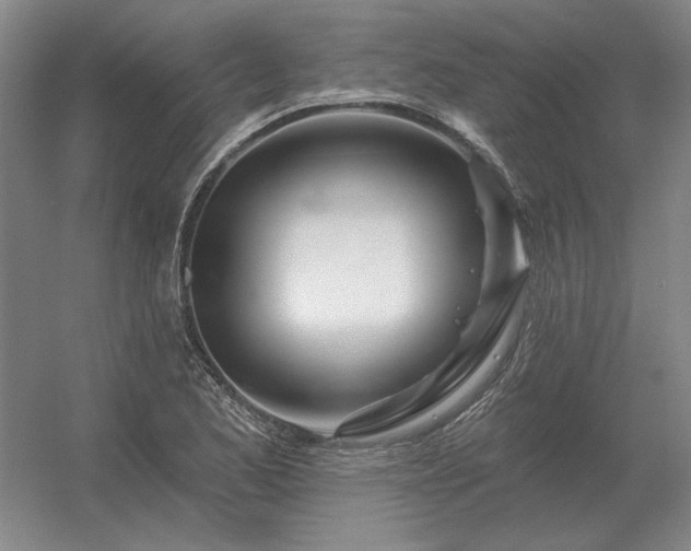 X0000056371173200509021806