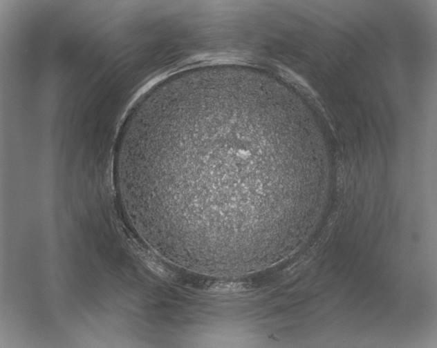 X0000056371174200509021806