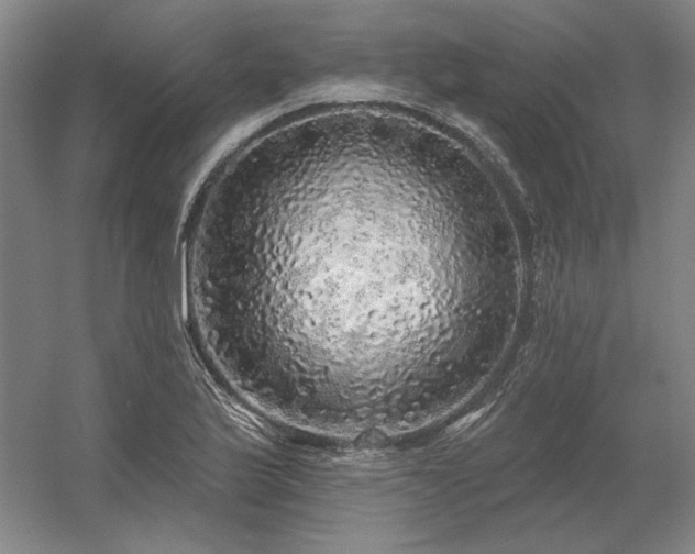 X0000056371175200509021806