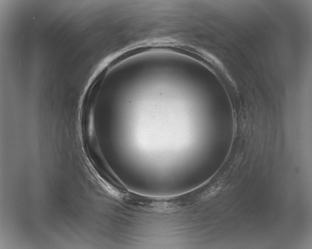 X0000056371176200509021806