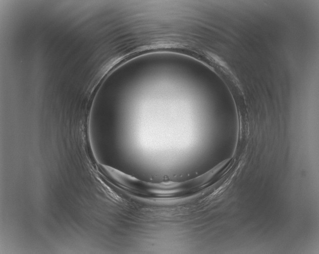 X0000056371177200509021806