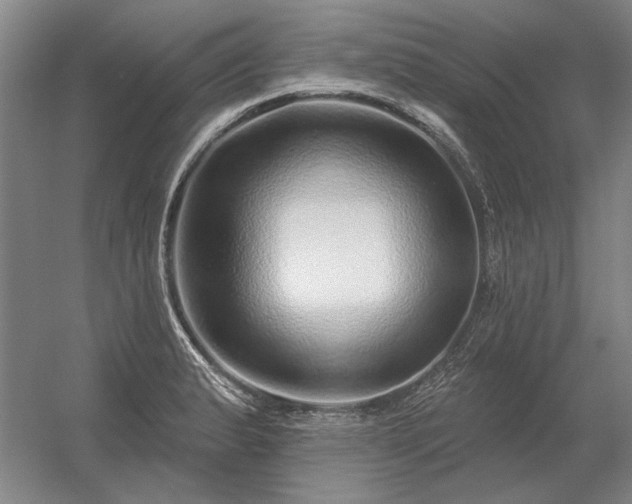 X0000056371183200509021806