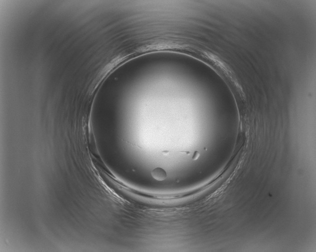 X0000056371185200509021806