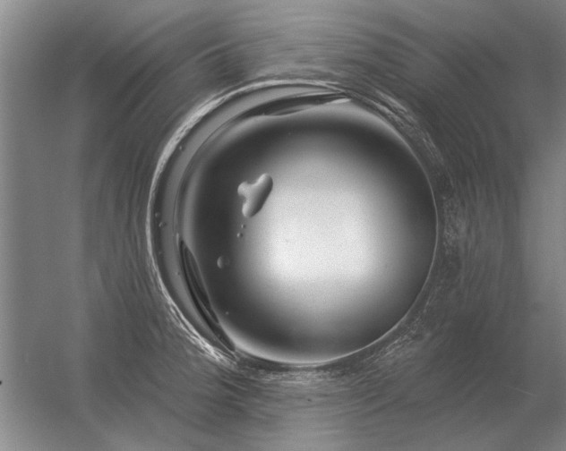 X0000056371188200509021806