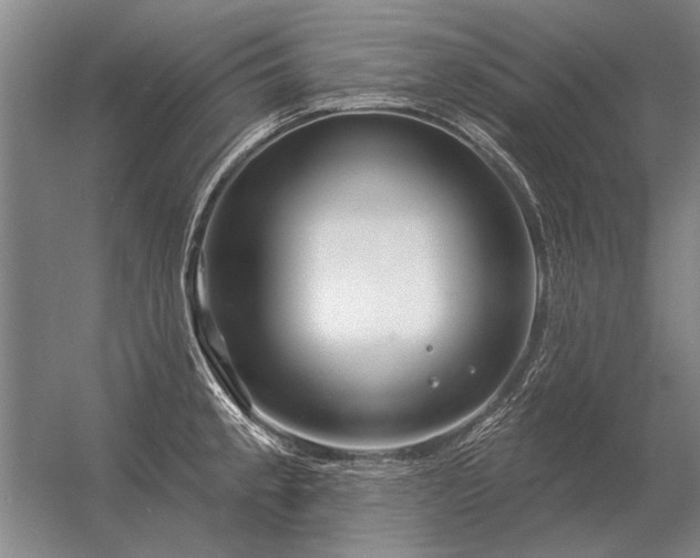 X0000056371189200509021806