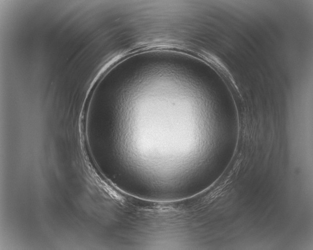 X0000056371190200509021806