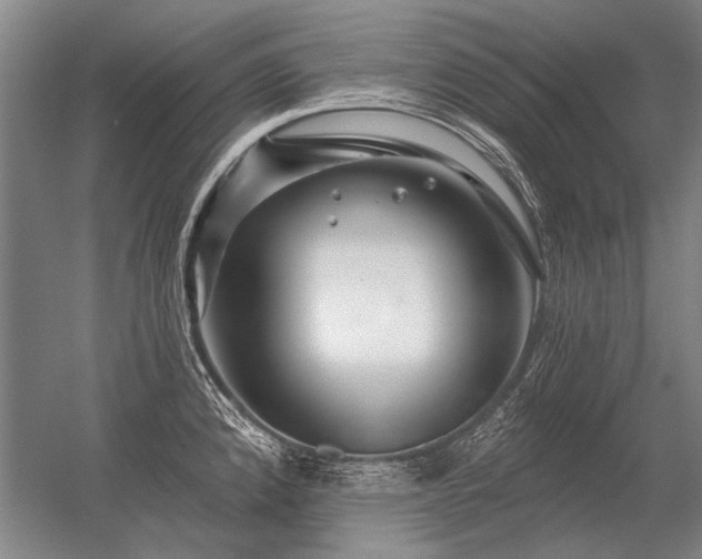 X0000056371192200509021806