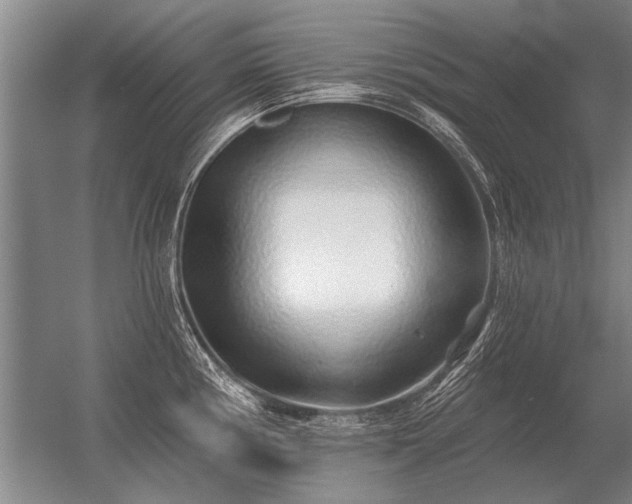 X0000056371194200509021806