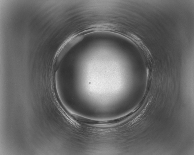 X0000056371196200509021806