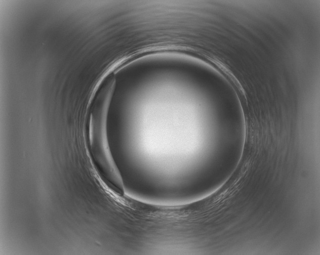 X0000056371197200509021806