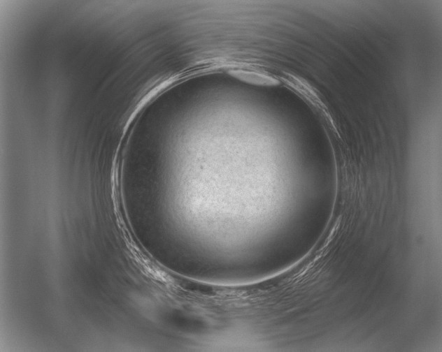 X0000056371198200509021806