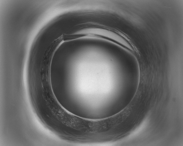 X0000056371199200509021806