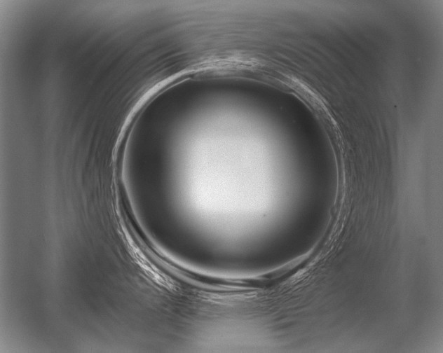 X0000056371200200509021806