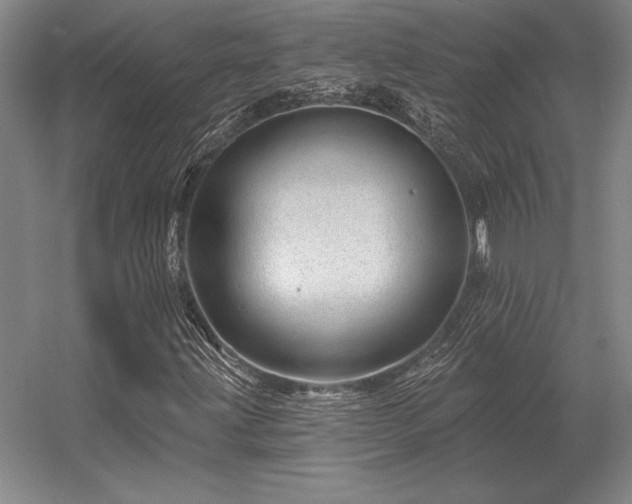 X0000056371203200509021805