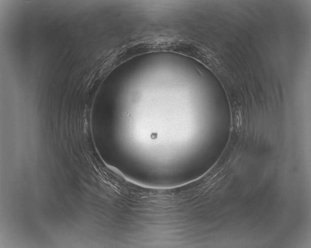 X0000056371204200509021805