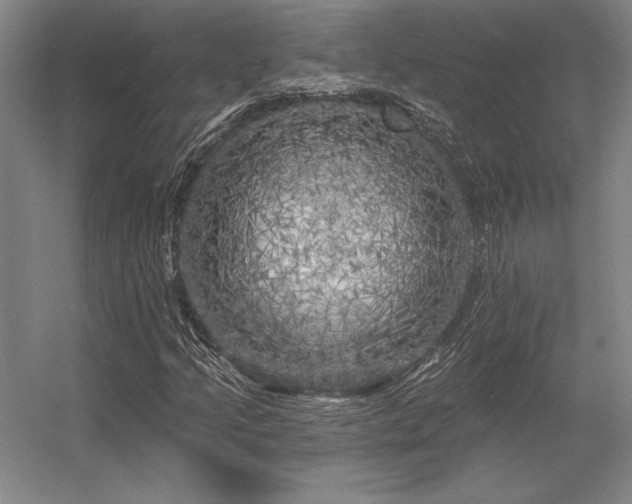 X0000056371205200509021805