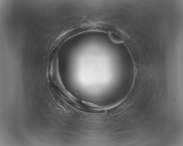 X0000056371206200509021805