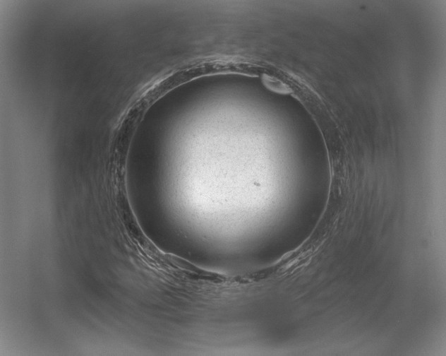 X0000056371207200509021805