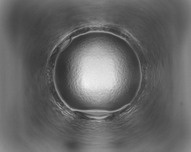 X0000056371208200509021805