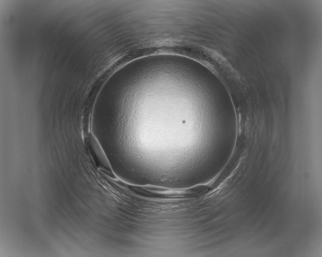 X0000056371209200509021805