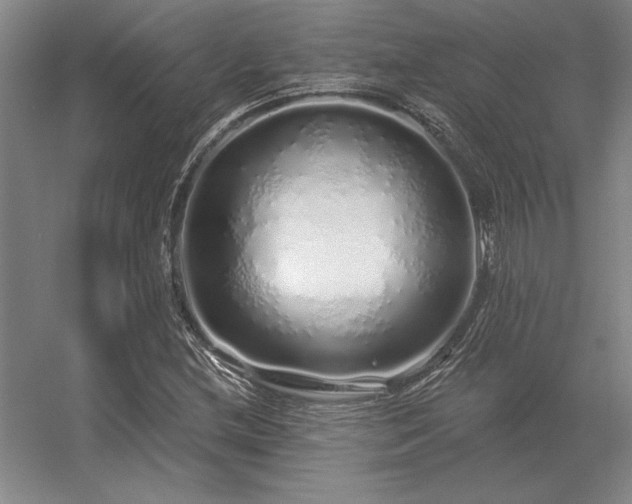 X0000056371212200509021805