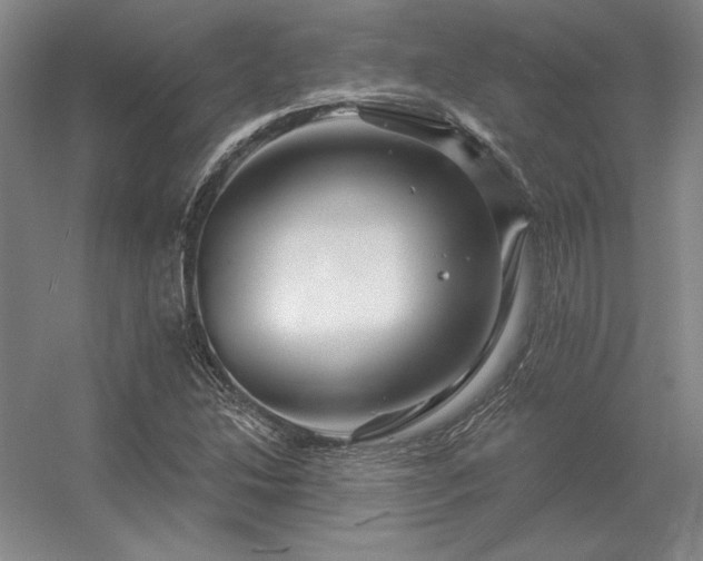 X0000056371214200509021805