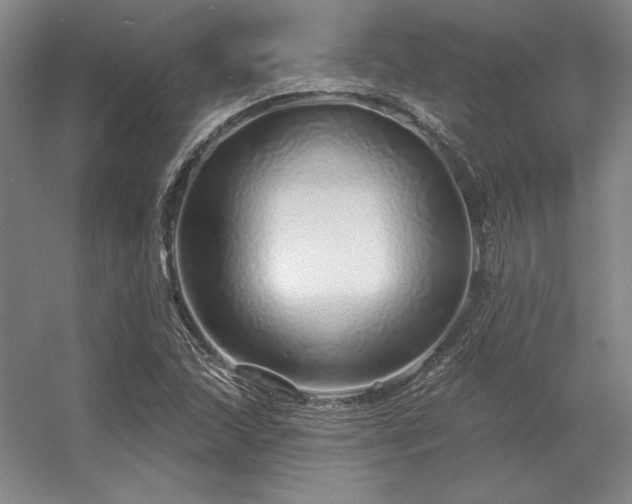 X0000056371215200509021805