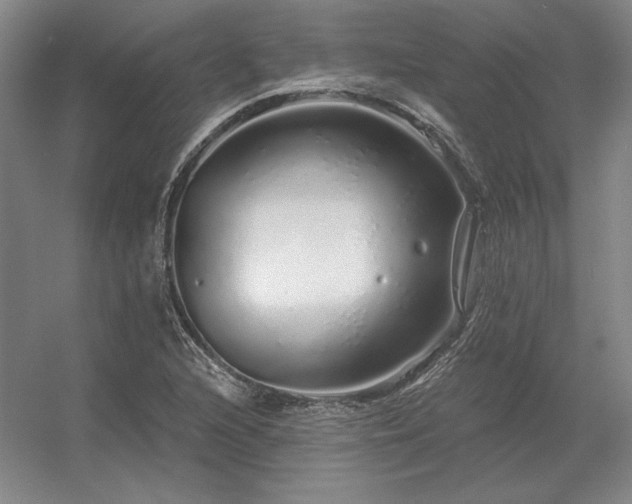 X0000056371216200509021805