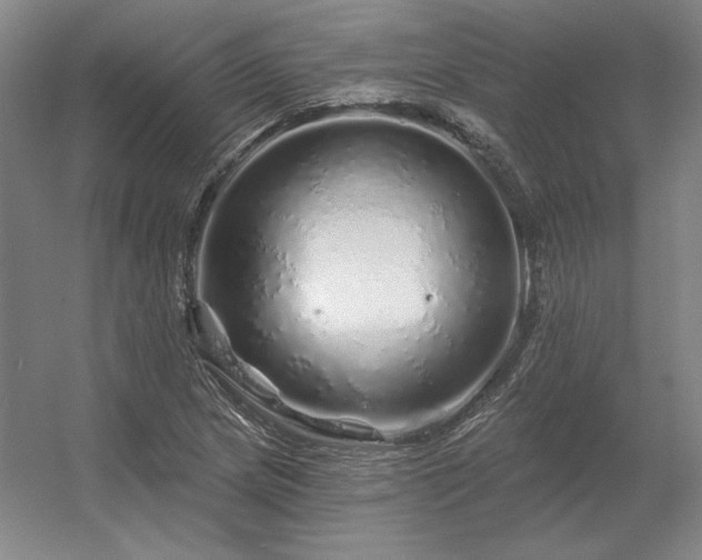 X0000056371217200509021805