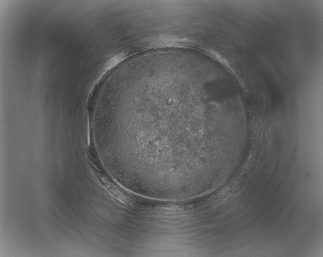 X0000056371219200509021805