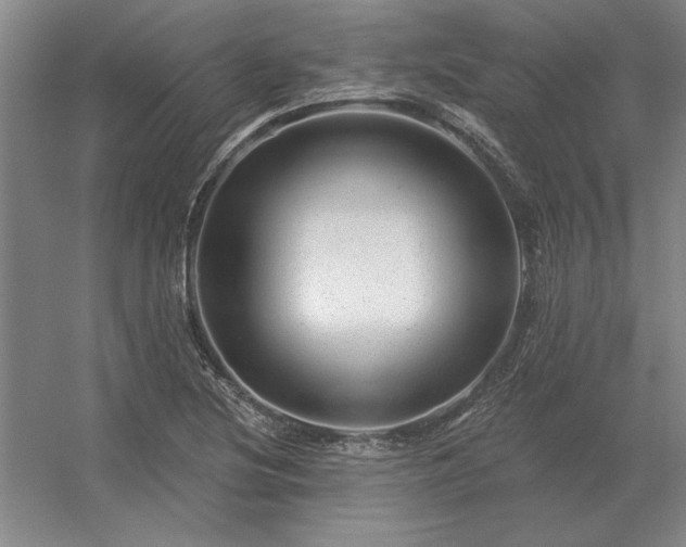 X0000056371220200509021805